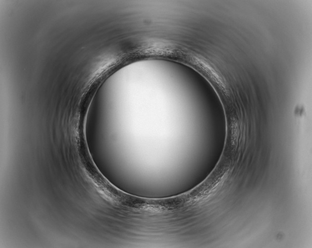 X0000099570490200805161520