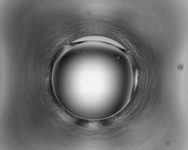 X0000099570505200805161520