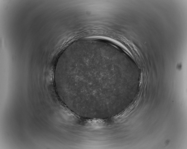 X0000099570517200805161520