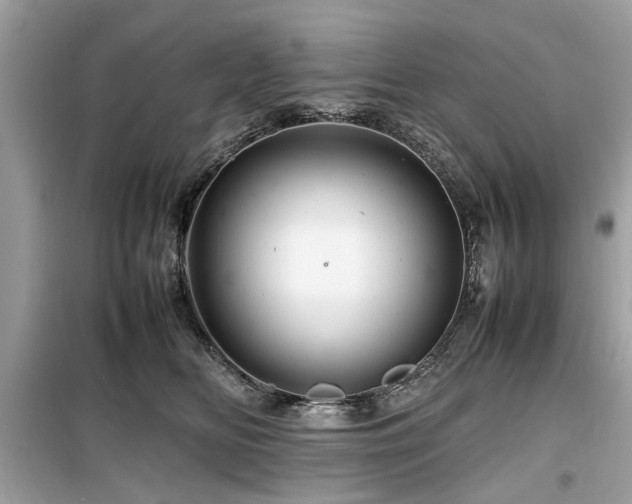 X0000099570518200805161520