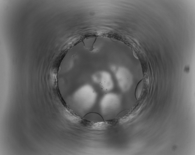 X0000099570527200805161519