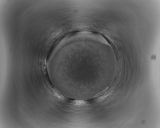 X0000099570528200805161519