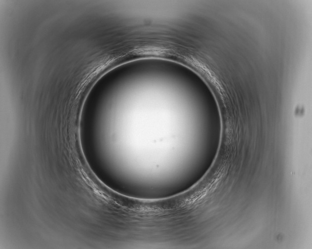 X0000099570529200805161519