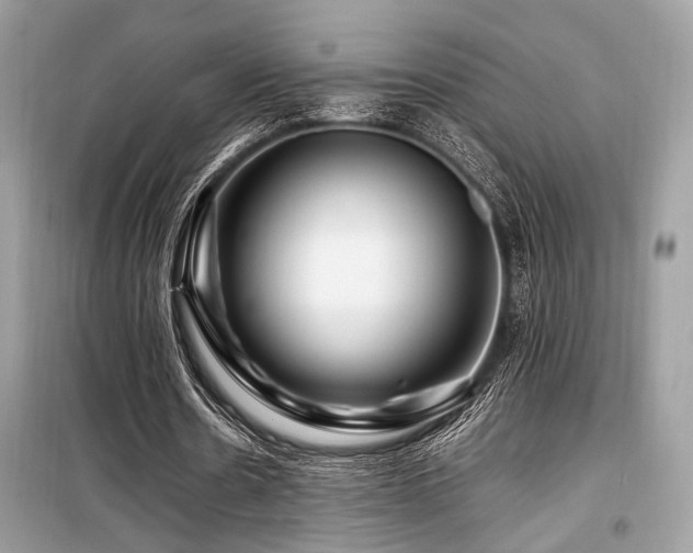 X0000099570530200805161519