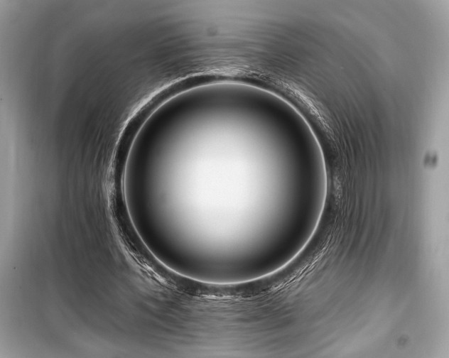 X0000099570532200805161519