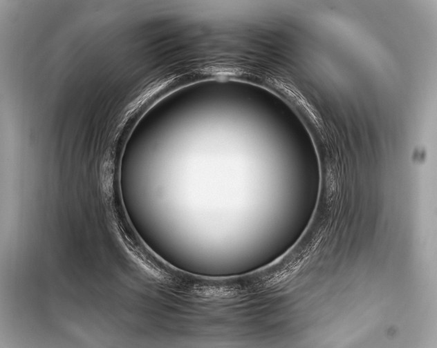 X0000099570533200805161519