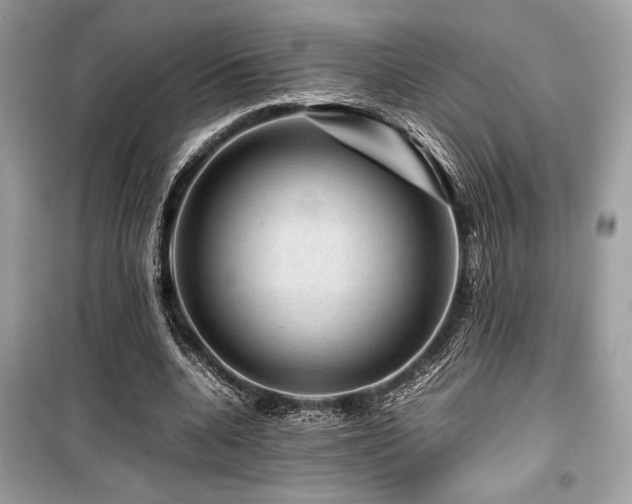 X0000099570536200805161519