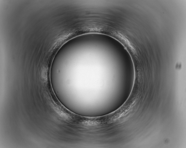 X0000099570537200805161519