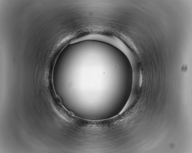 X0000099570538200805161519