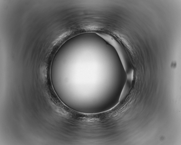 X0000099570539200805161519