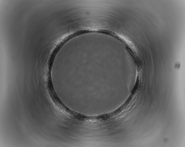 X0000099570540200805161519