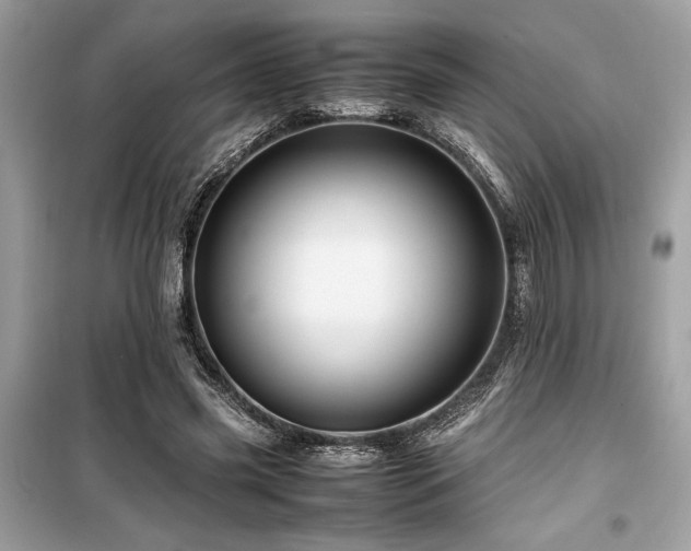 X0000099570541200805161519