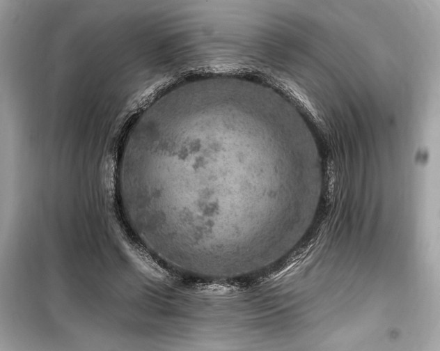 X0000099570542200805161519