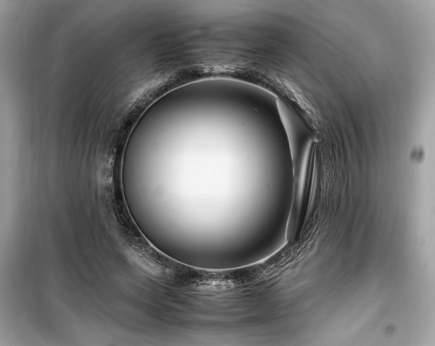 X0000099570543200805161519