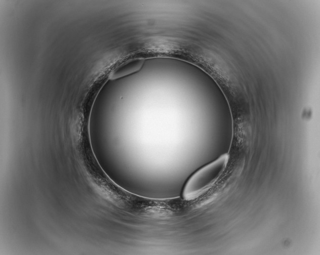 X0000099570544200805161519