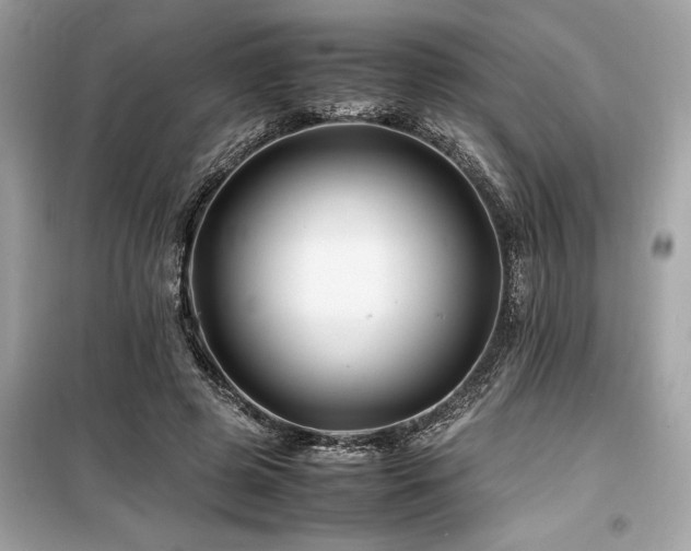 X0000099570545200805161519