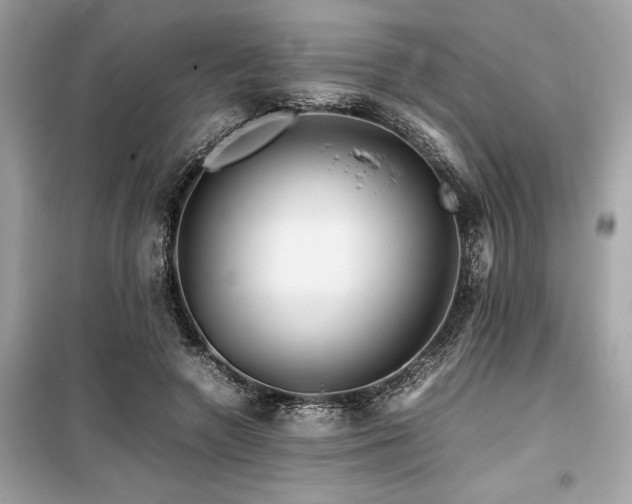 X0000099570546200805161519