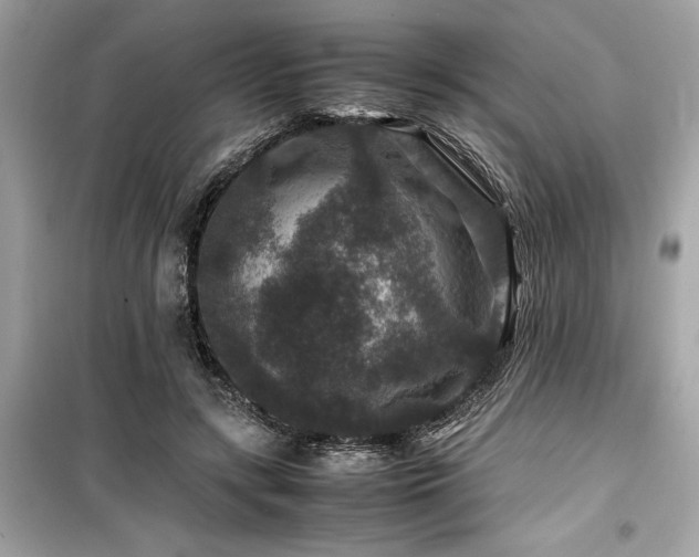 X0000099570547200805161519