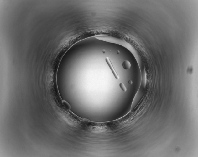 X0000099570548200805161519