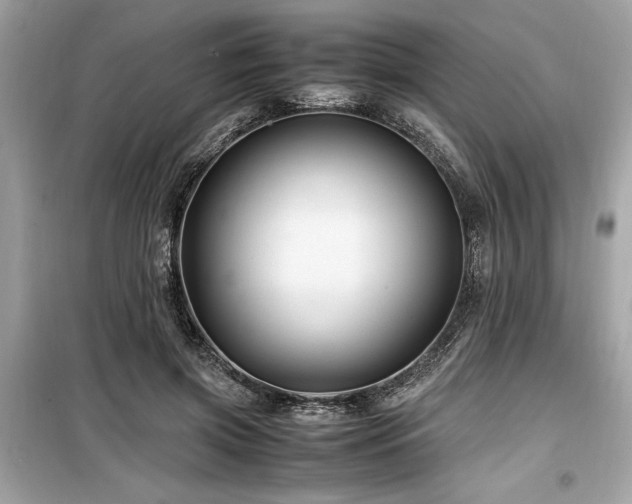 X0000099570549200805161519