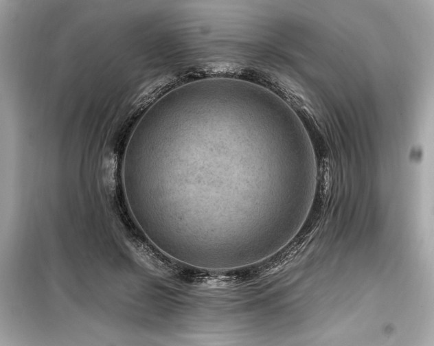 X0000099570550200805161519