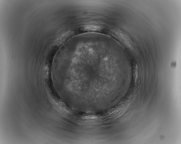 X0000099570551200805161519