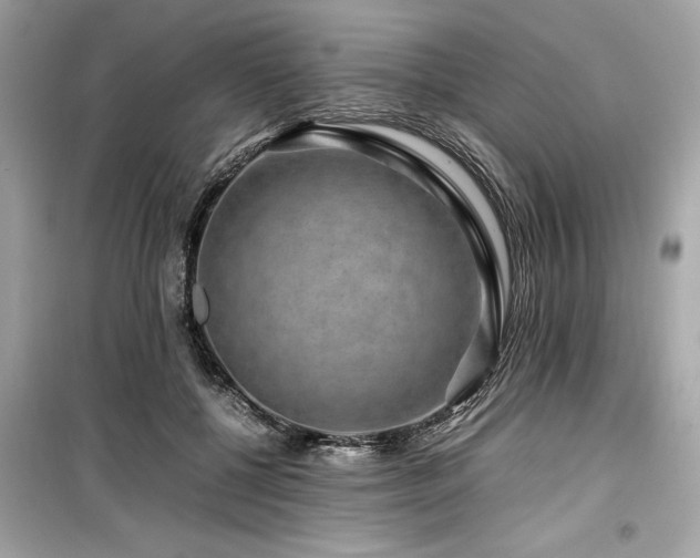 X0000099570552200805161519