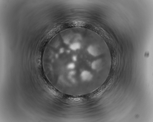 X0000099570553200805161519