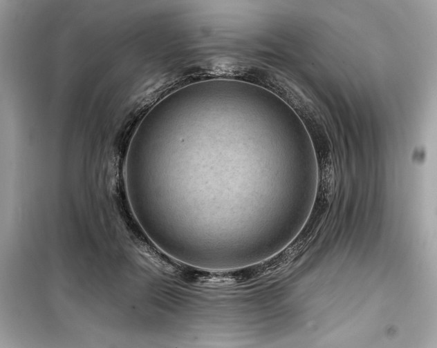 X0000099570554200805161519