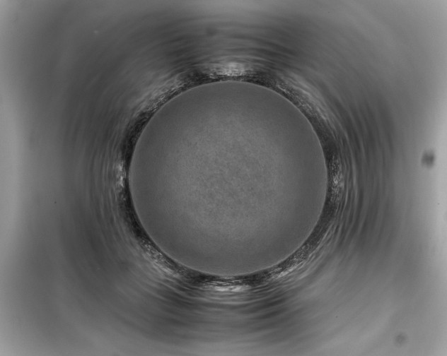 X0000099570555200805161519