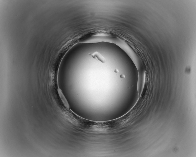 X0000099570556200805161519