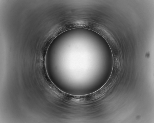 X0000099570557200805161519