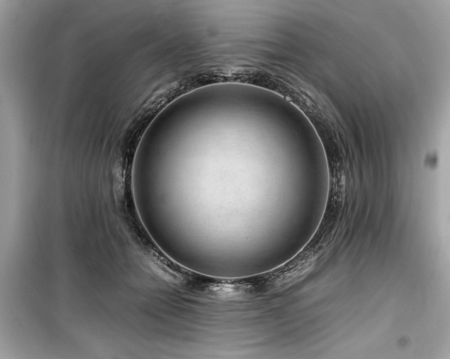 X0000099570558200805161519