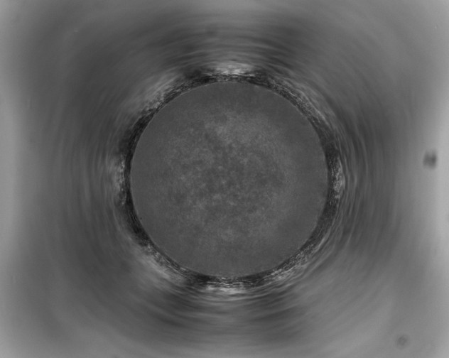 X0000099570559200805161519