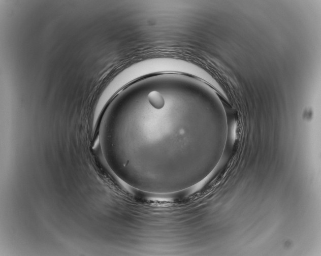 X0000099570560200805161519