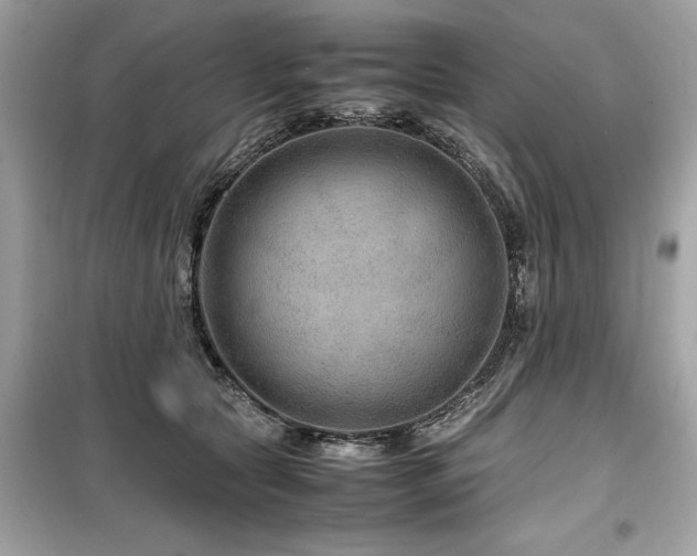 X0000099570561200805161519