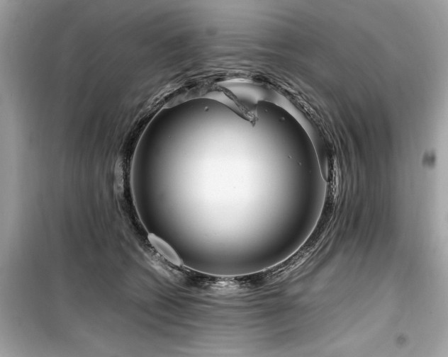 X0000099570562200805161519