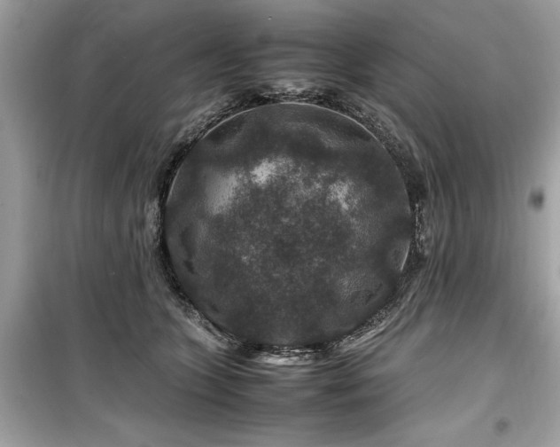 X0000099570563200805161519