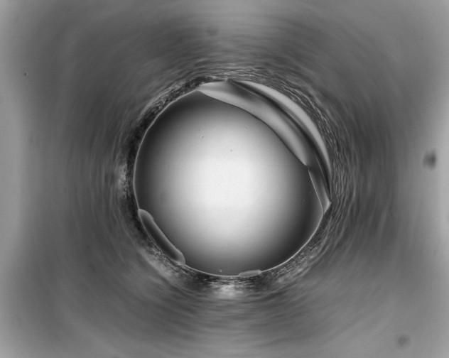 X0000099570564200805161519