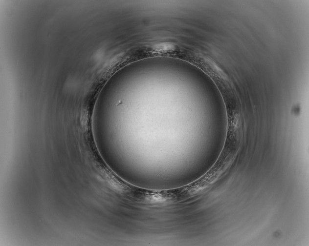 X0000099570565200805161519