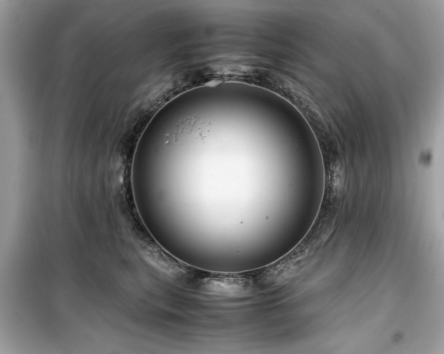 X0000099570567200805161519