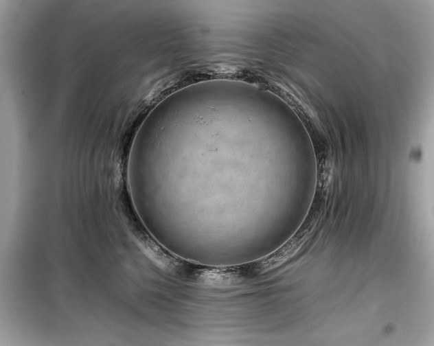 X0000099570568200805161519