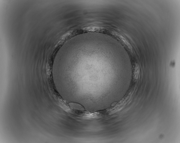 X0000099570569200805161519