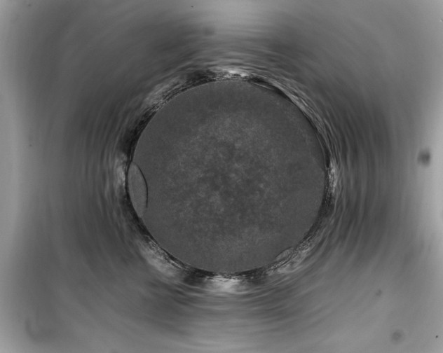 X0000099570570200805161519