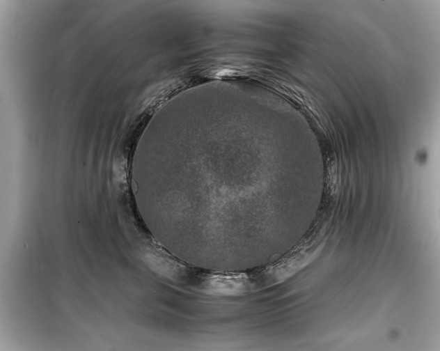 X0000099570571200805161519