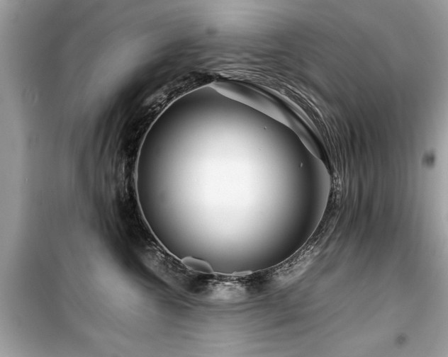 X0000099570572200805161519