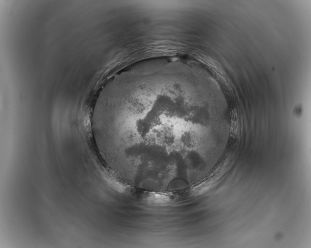 X0000099570573200805161519