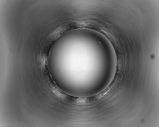 X0000099570574200805161519