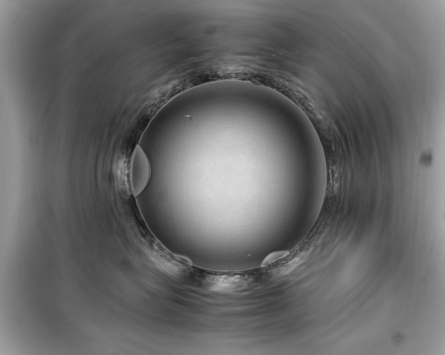 X0000099570575200805161519