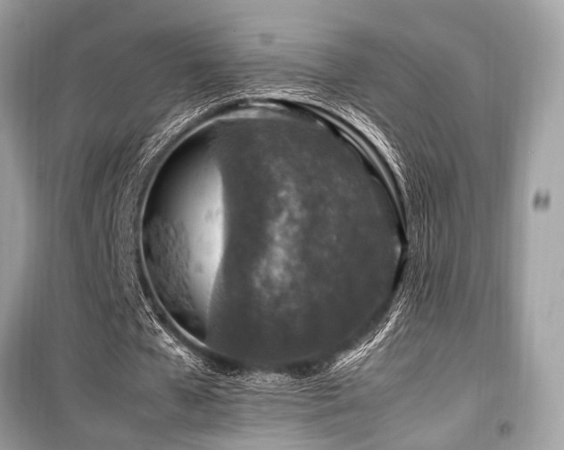 X0000099570577200805161519